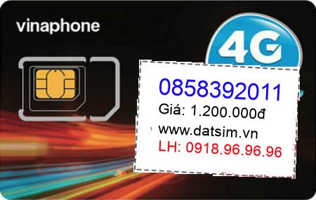 sim điện thoại 0858392011