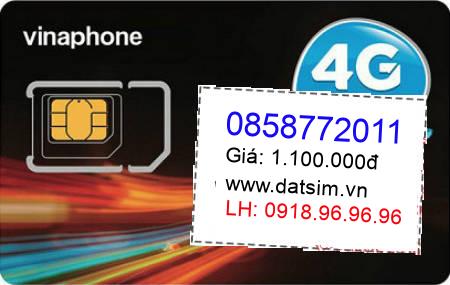 sim điện thoại 0858772011